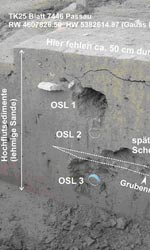 Abb. 25: Passau-Neumarkt. Profil der spätlatènezeitlichen Grube (Objekt 222) mit
Markierung
der Proben zur Sedimentanalytik und zur OSL-Messung.